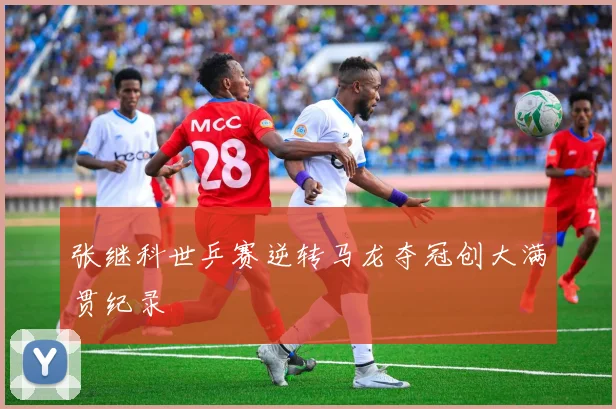 张继科世乒赛逆转马龙夺冠创大满贯纪录