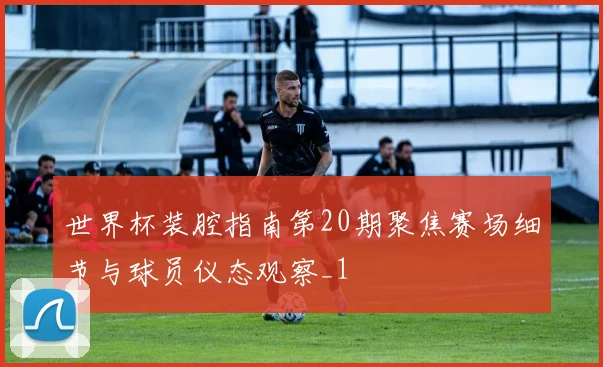 世界杯装腔指南第20期聚焦赛场细节与球员仪态观察_1