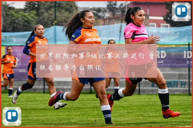 世界杯附加赛B组比赛火热进行 晋级名额争夺白热化