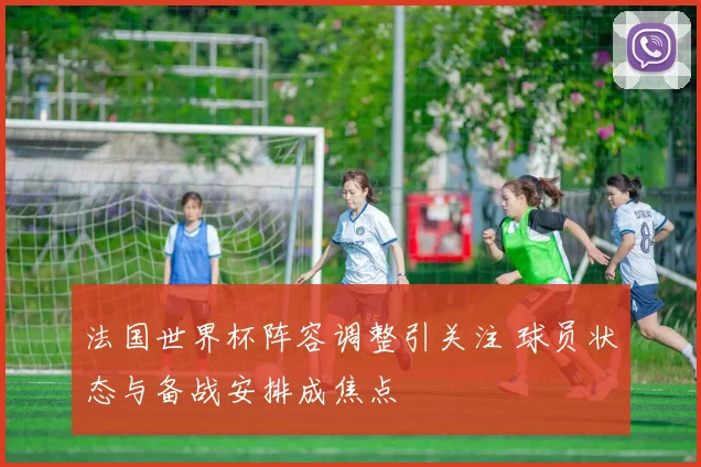 法国世界杯阵容调整引关注 球员状态与备战安排成焦点