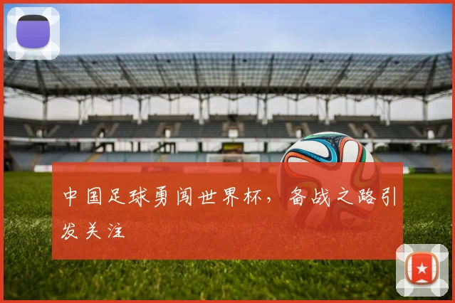 中国足球勇闯世界杯，备战之路引发关注